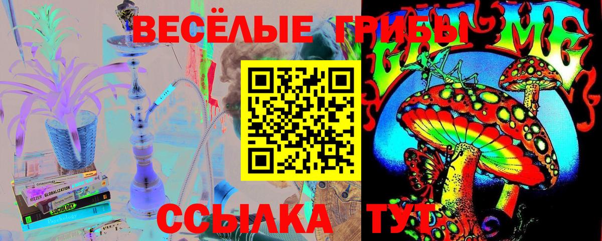 Элиста  Галлюциногенные грибы Cubensis  Вход с VPN 
